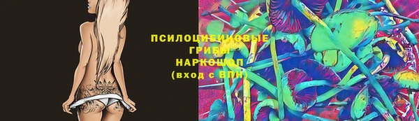 прущая мука Михайлов