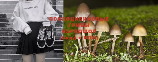 jwh Медногорск