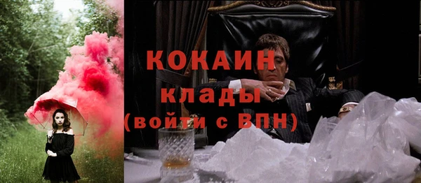 мяу мяу мука Михайловск