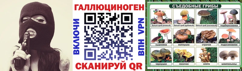 Купить  Борзя  Галлюциногенные грибы мухоморы 